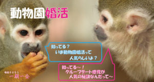 趣味コン「動物園婚活って何?」のアイキャッチ画像|大阪で婚活イベント(婚活パーティーや趣味コン)なら一期一会